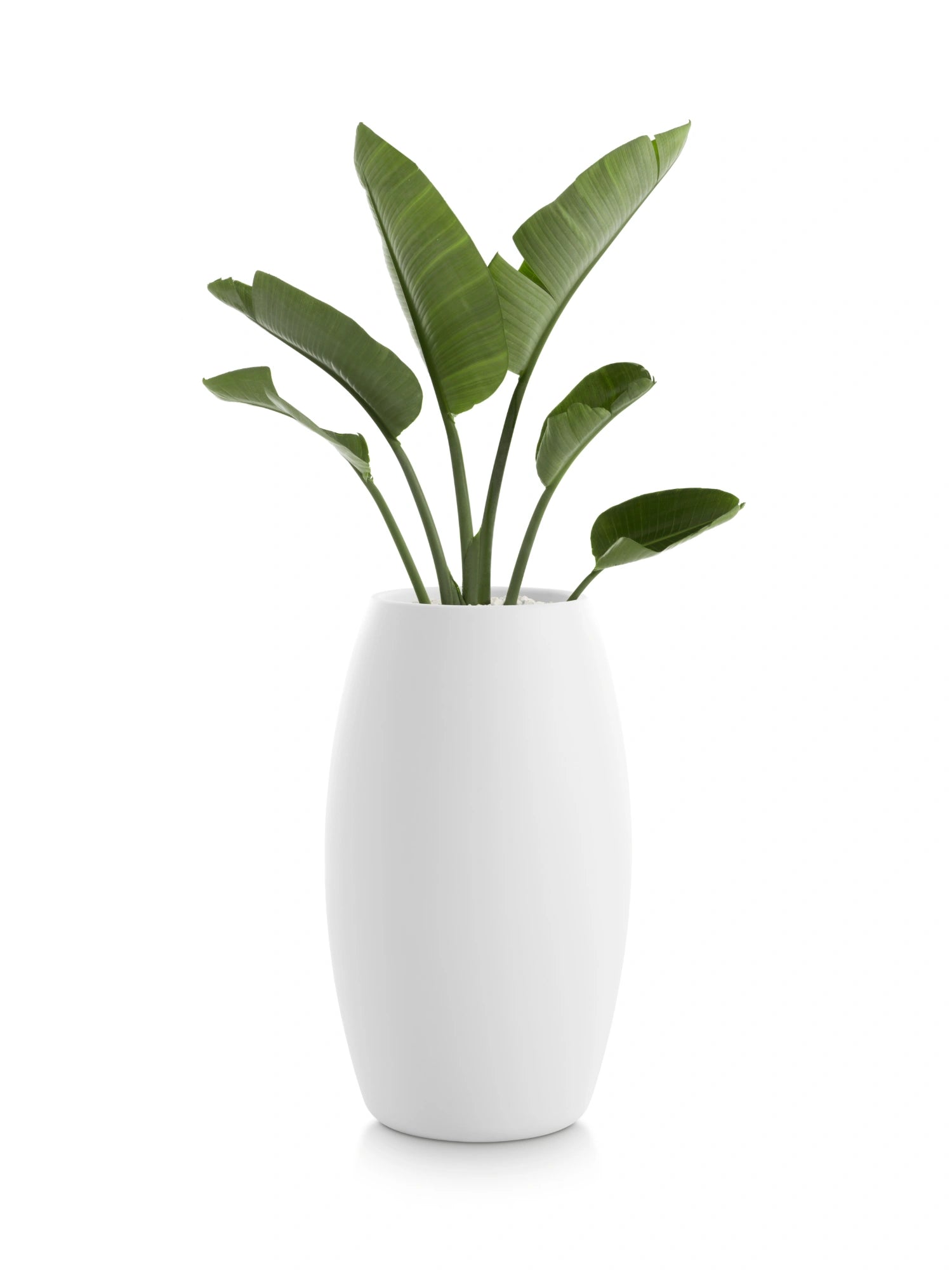 Gobi 2 Planter by Diabla - THAT COOL LIVING