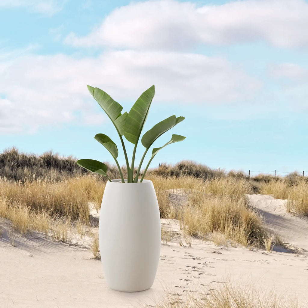 Gobi 2 Planter - THAT COOL LIVING