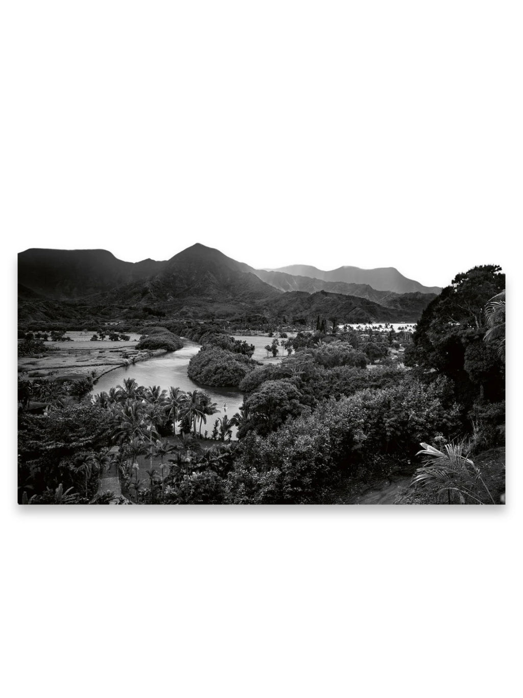 Book Hawaii, a stunning black and white photograph showcasing an expansive Hawaiian landscape with lush tropical foliage, a winding river, and majestic mountains in the background. This breathtaking fine art print is ideal for nature lovers and travel enthusiasts seeking serene wall decor.