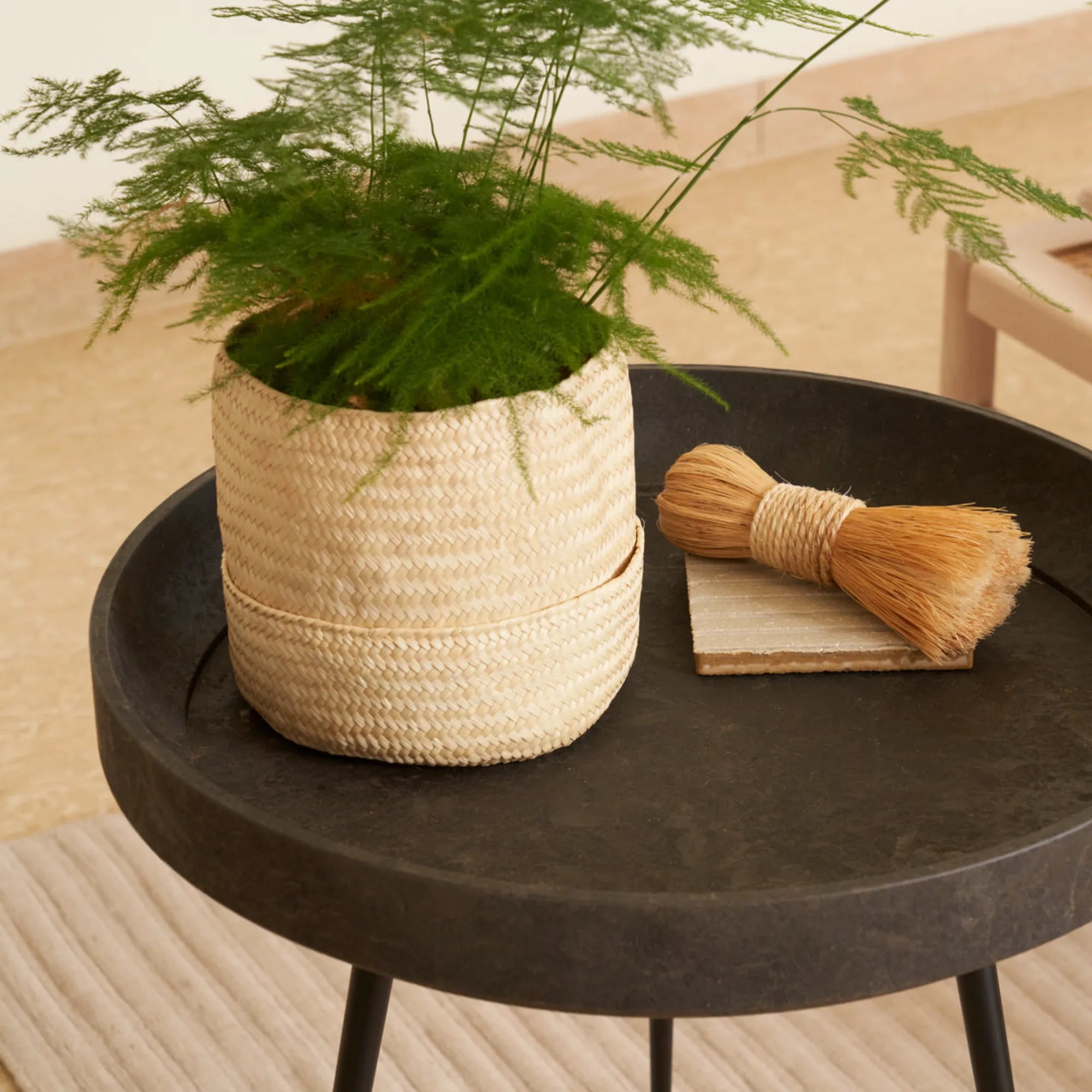 Bowl Table - THAT COOL LIVING