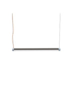 Interplay Pendant Light