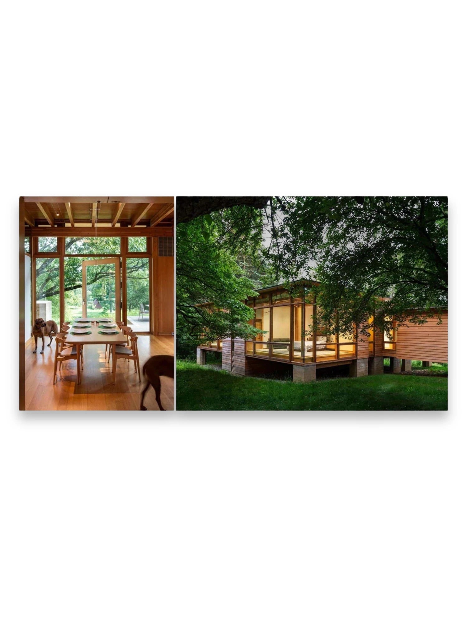 Into the Woods: Retreats and Dream Houses by Book - THAT COOL LIVING