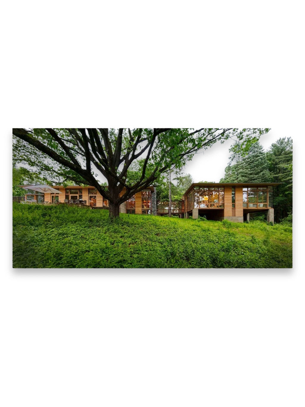 Into the Woods: Retreats and Dream Houses