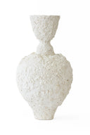 Isolated n.21 Vase