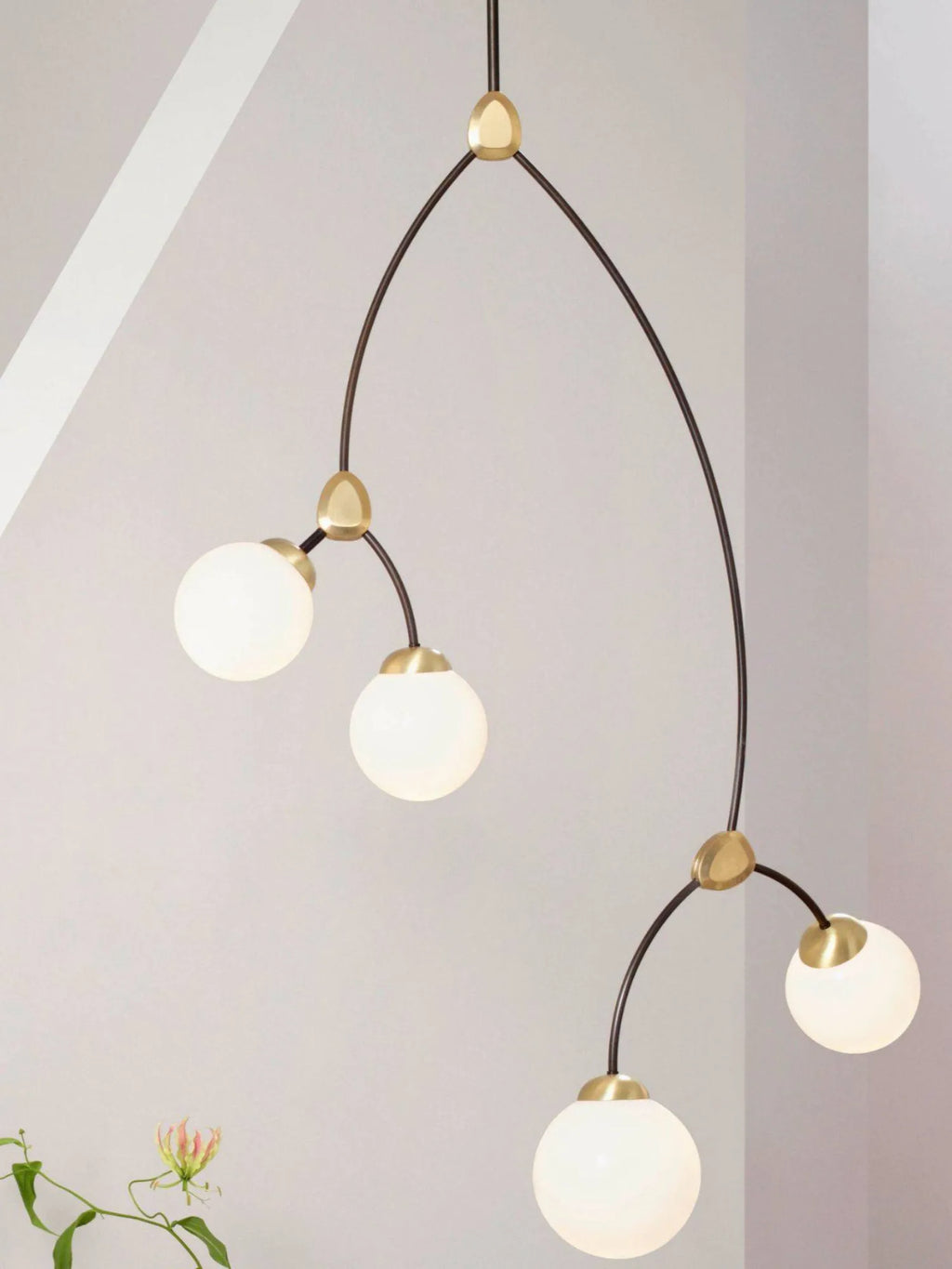 Ivy 4 Pendant Lamp