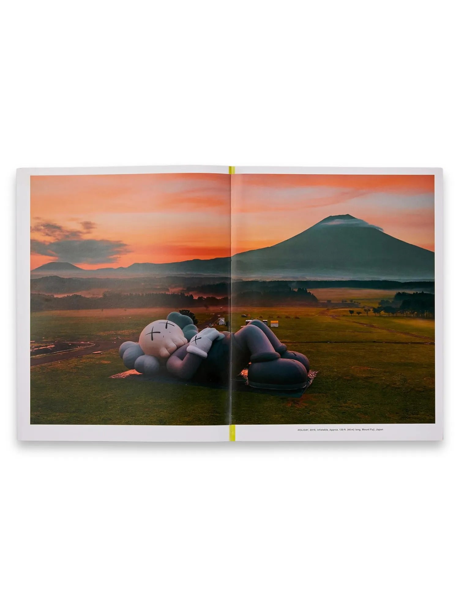 KAWS - Black on Pink by Book - THAT COOL LIVING