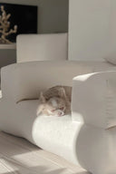 Cube Chair - THAT COOL LIVING
