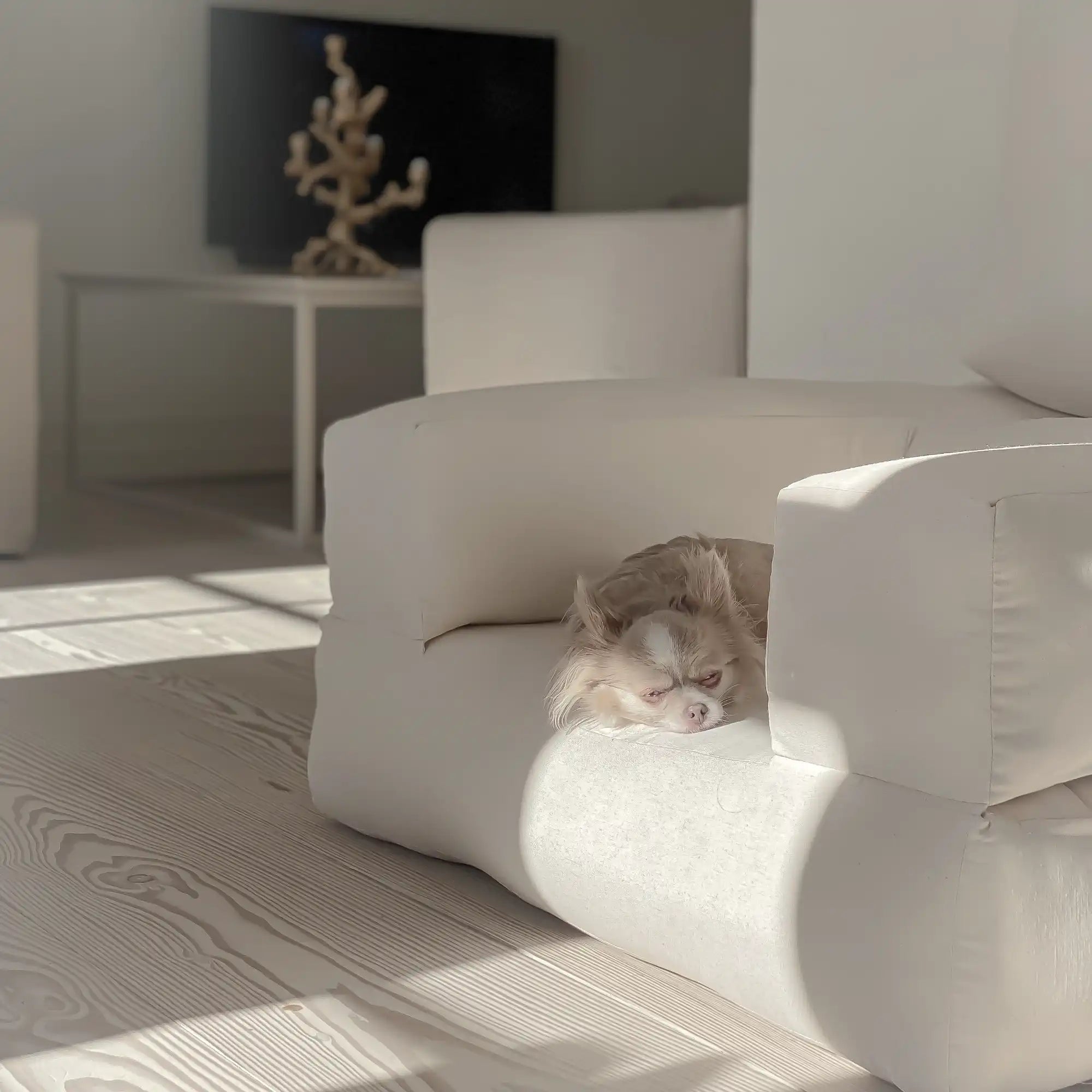 Cube Chair - THAT COOL LIVING
