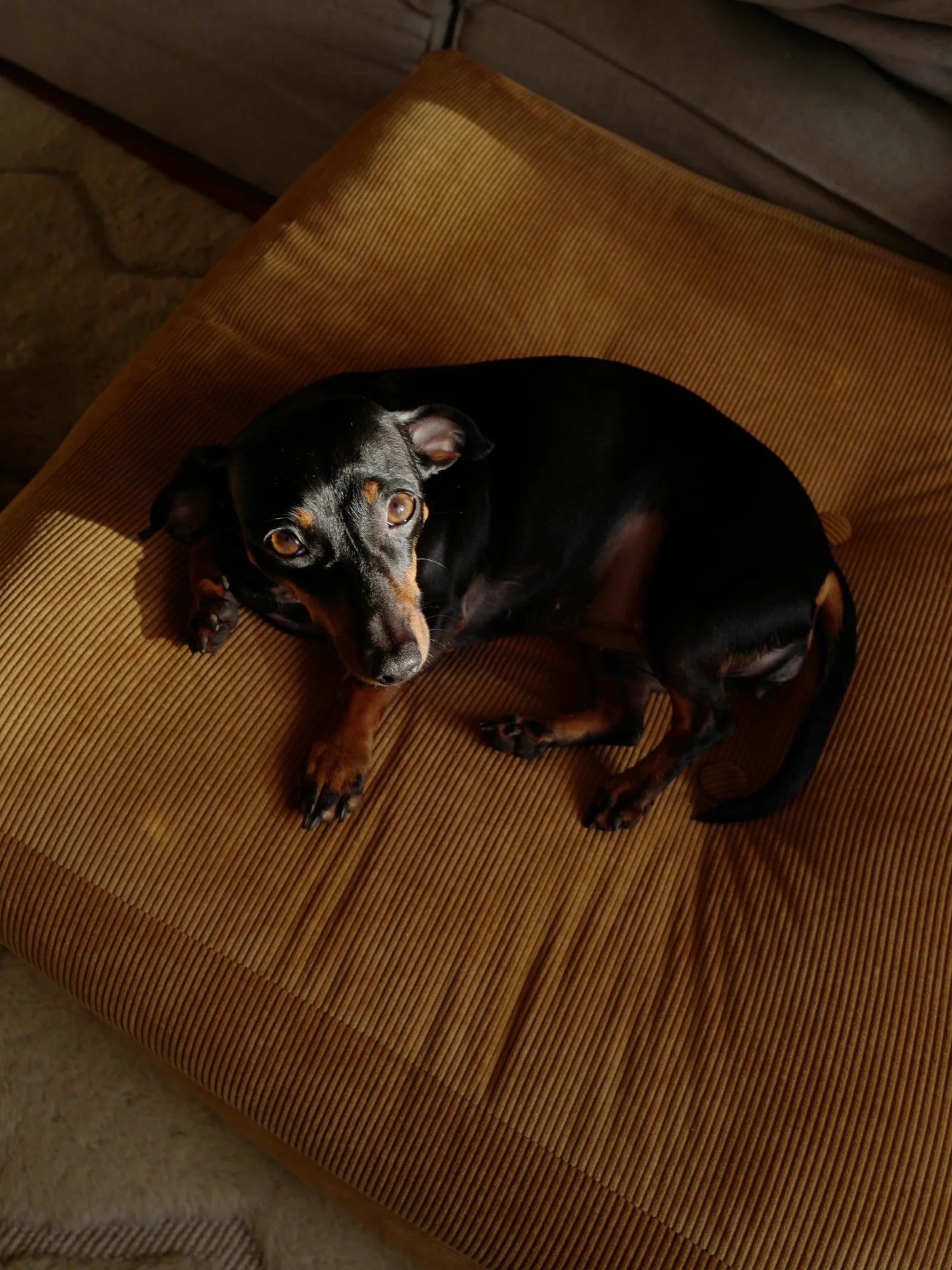 More Pouf by Karup Design - THAT COOL LIVING