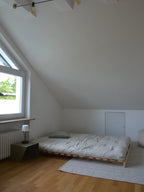 Roots 160 Sofa Bed