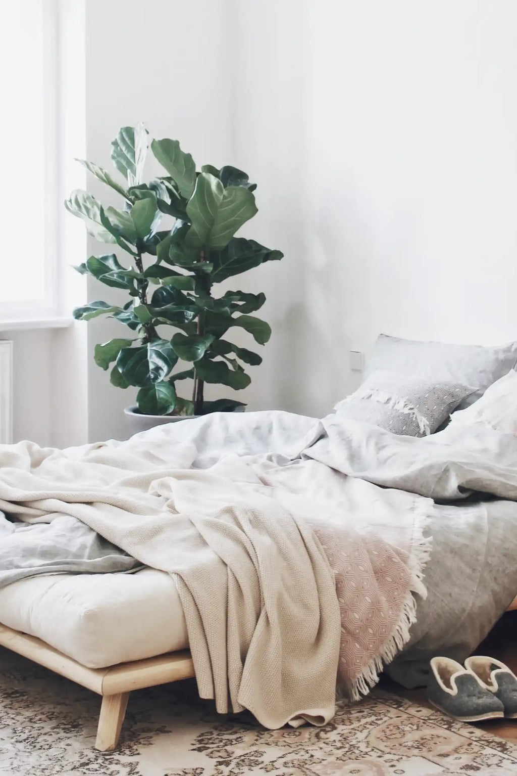 Senza Bed - THAT COOL LIVING