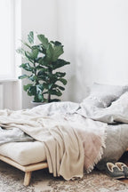 Senza Bed - THAT COOL LIVING