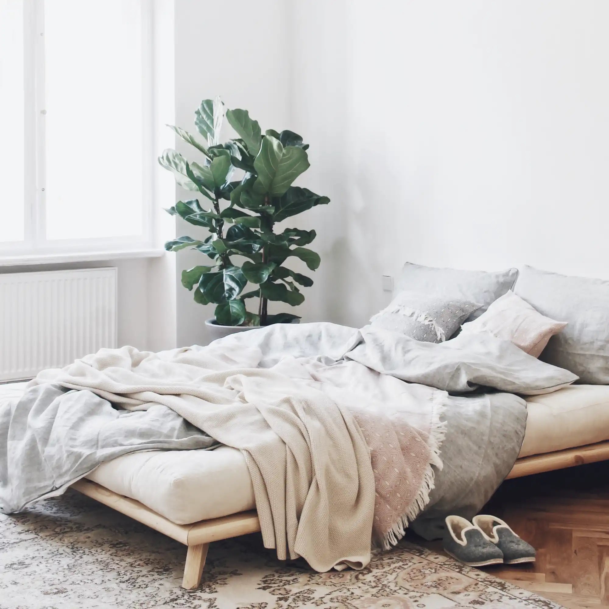 Senza Bed - THAT COOL LIVING