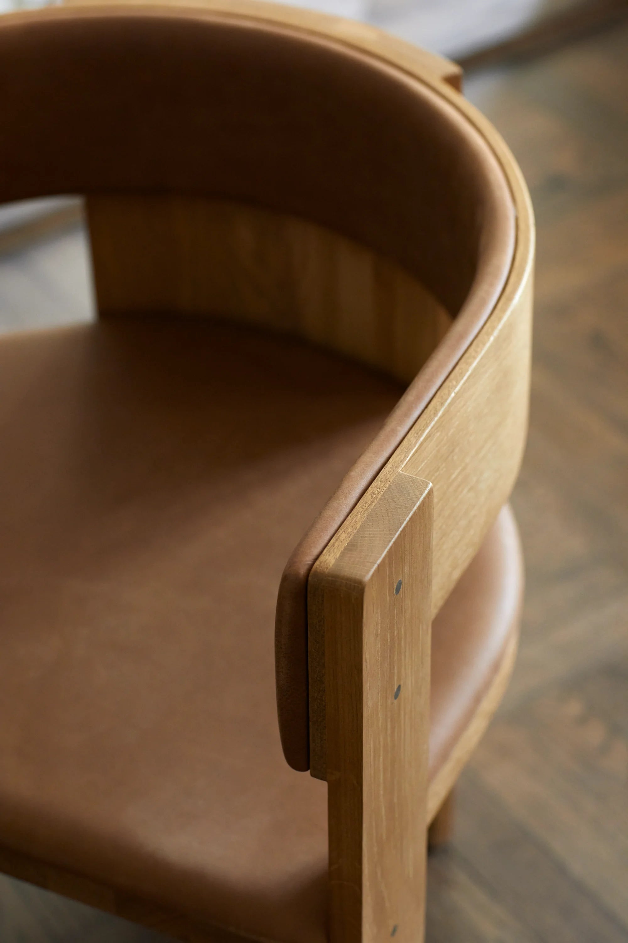 Collector Dining Chair - Leather - THAT COOL LIVING