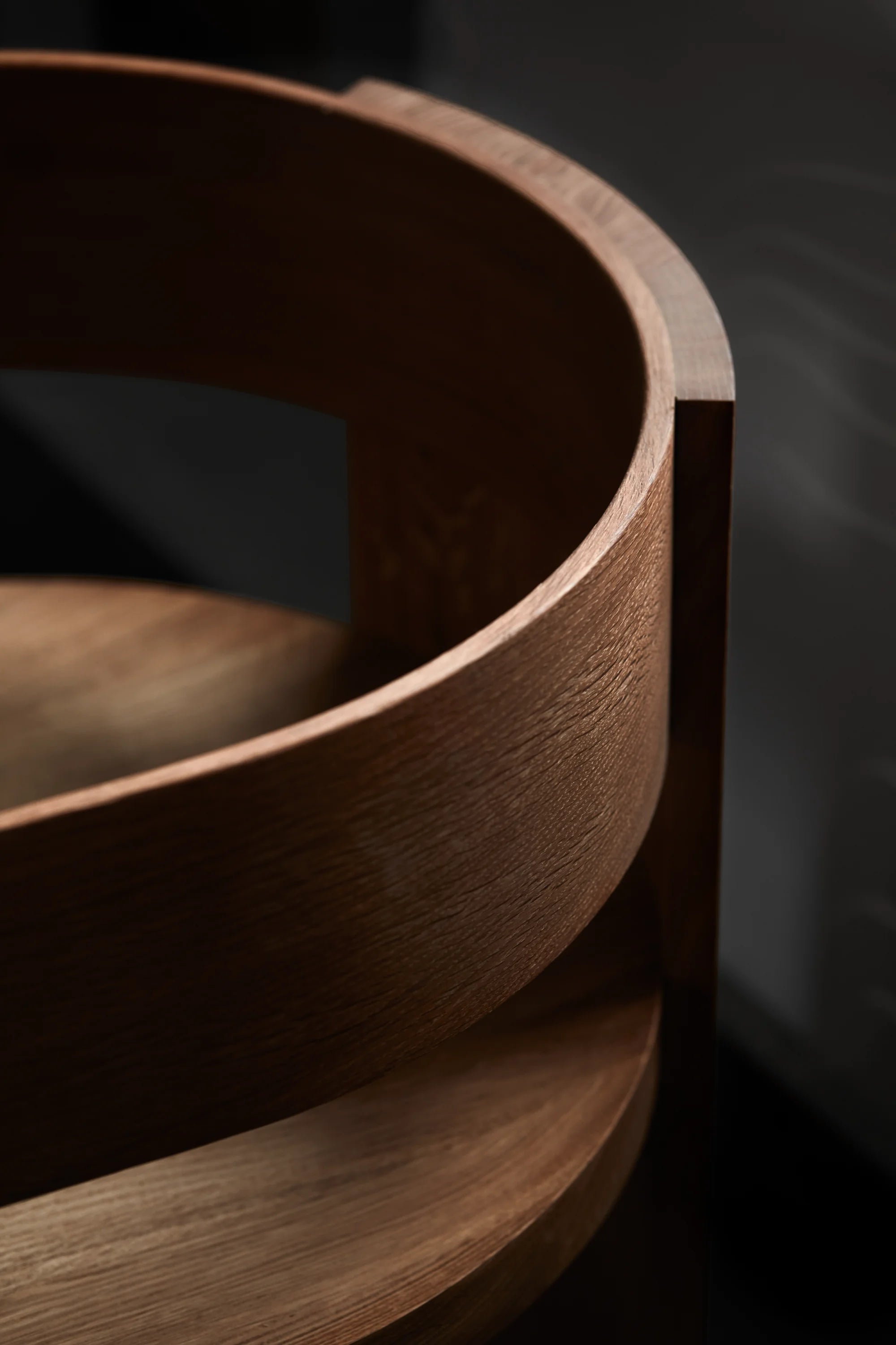 Collector Dining Chair - THAT COOL LIVING