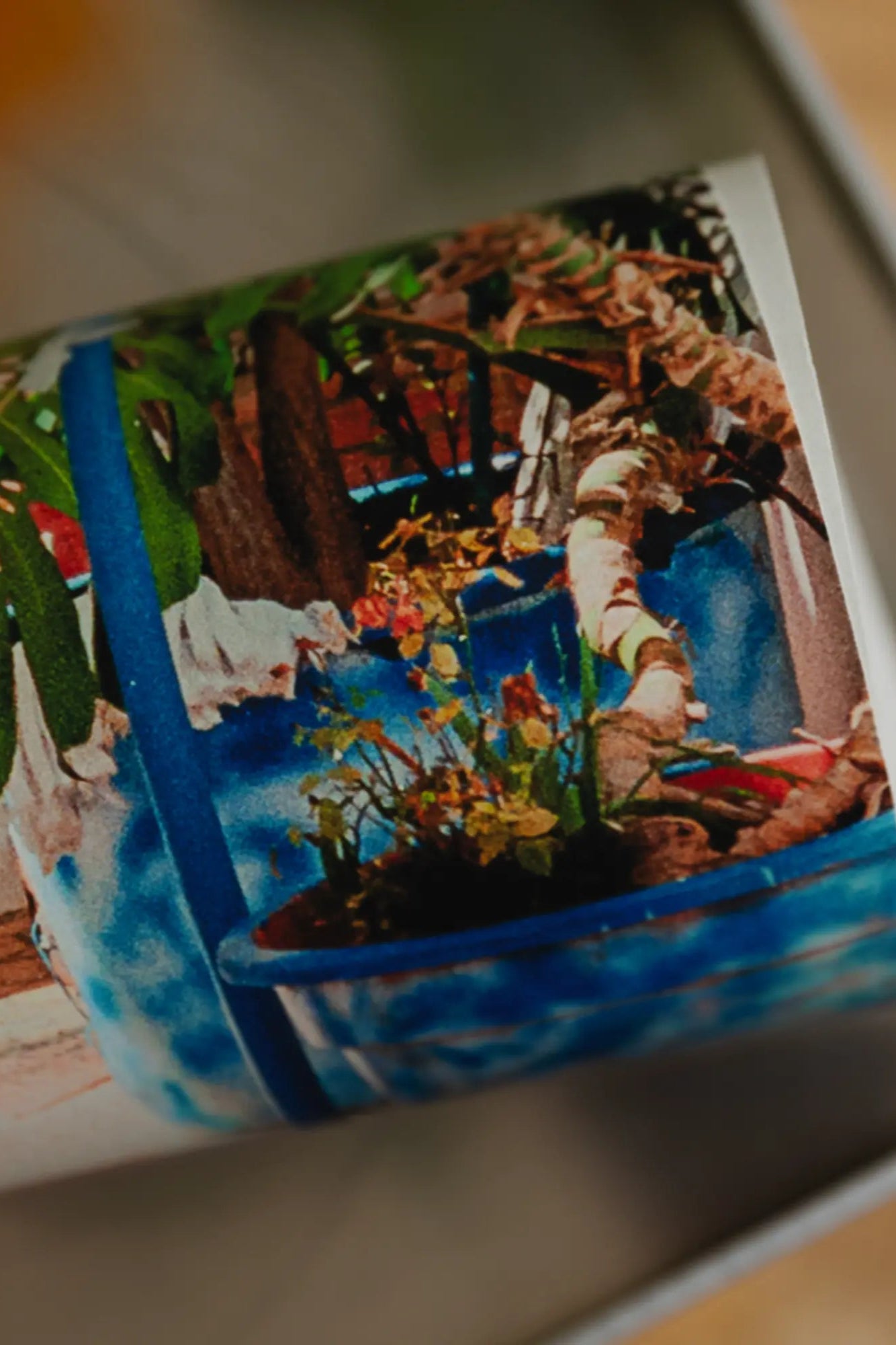 Traditional Portuguese ceramic tiles, azulejos, with intricate blue and white patterns