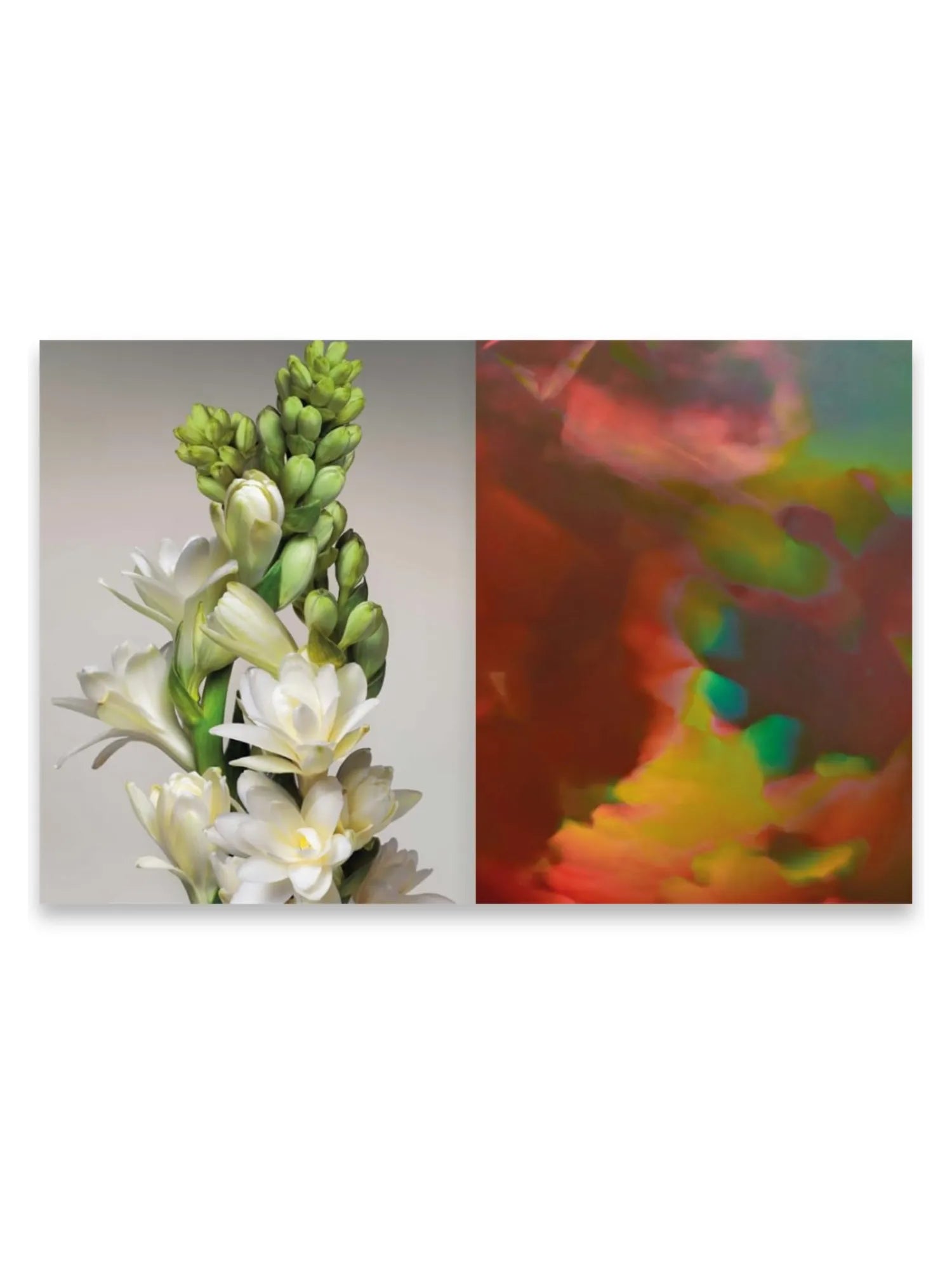 Louis Vuitton. The Perfume Atlas