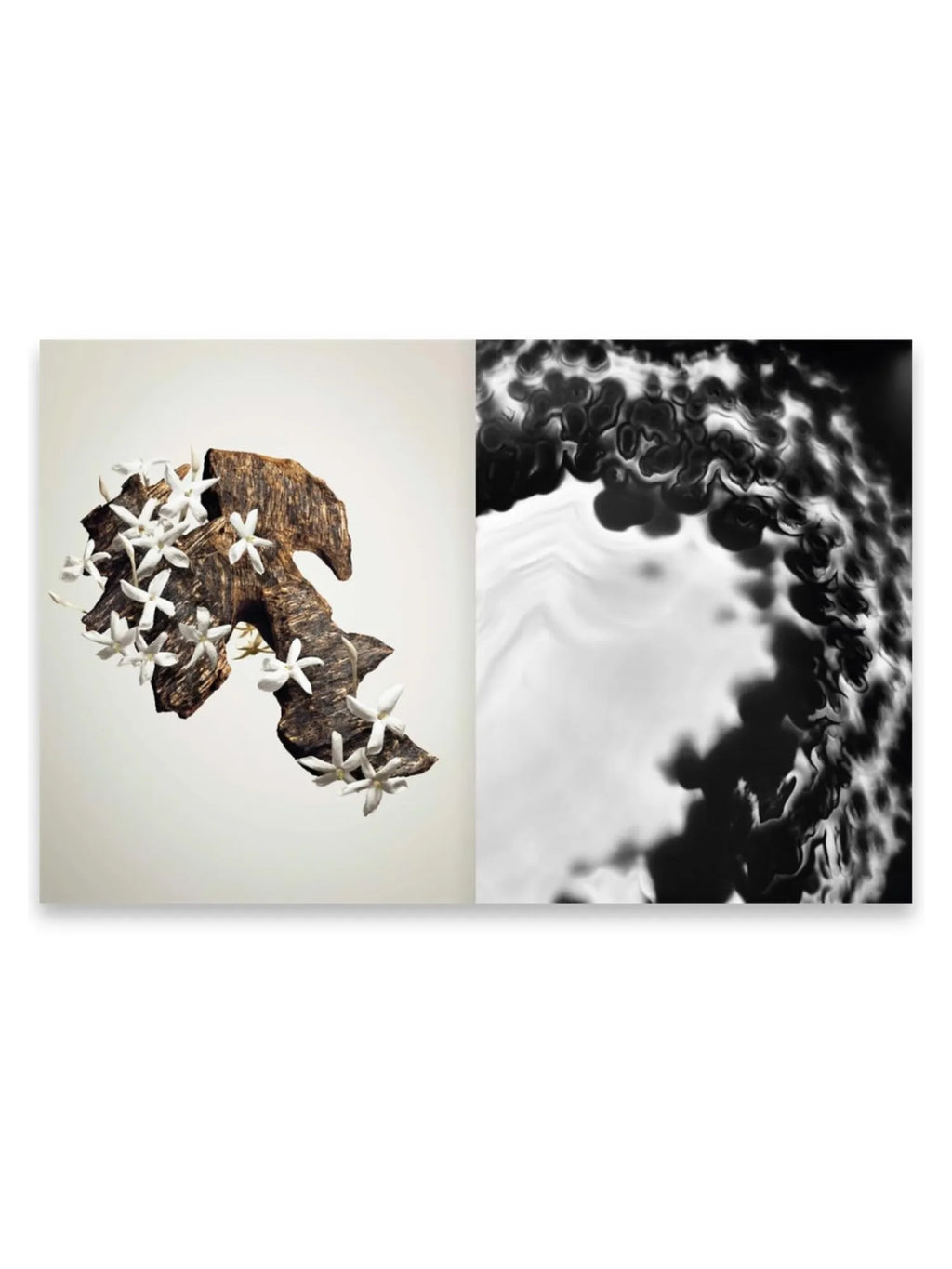 Book Louis Vuitton The Perfume Atlas, showcasing an open page with a close-up of dark, textured agarwood adorned with delicate white jasmine flowers on the left, next to a black and white abstract image of swirling liquid or microscopic cells on the right. This premium coffee table book offers a visual journey into the world of luxury fragrances for perfume enthusiasts and art book collectors.
