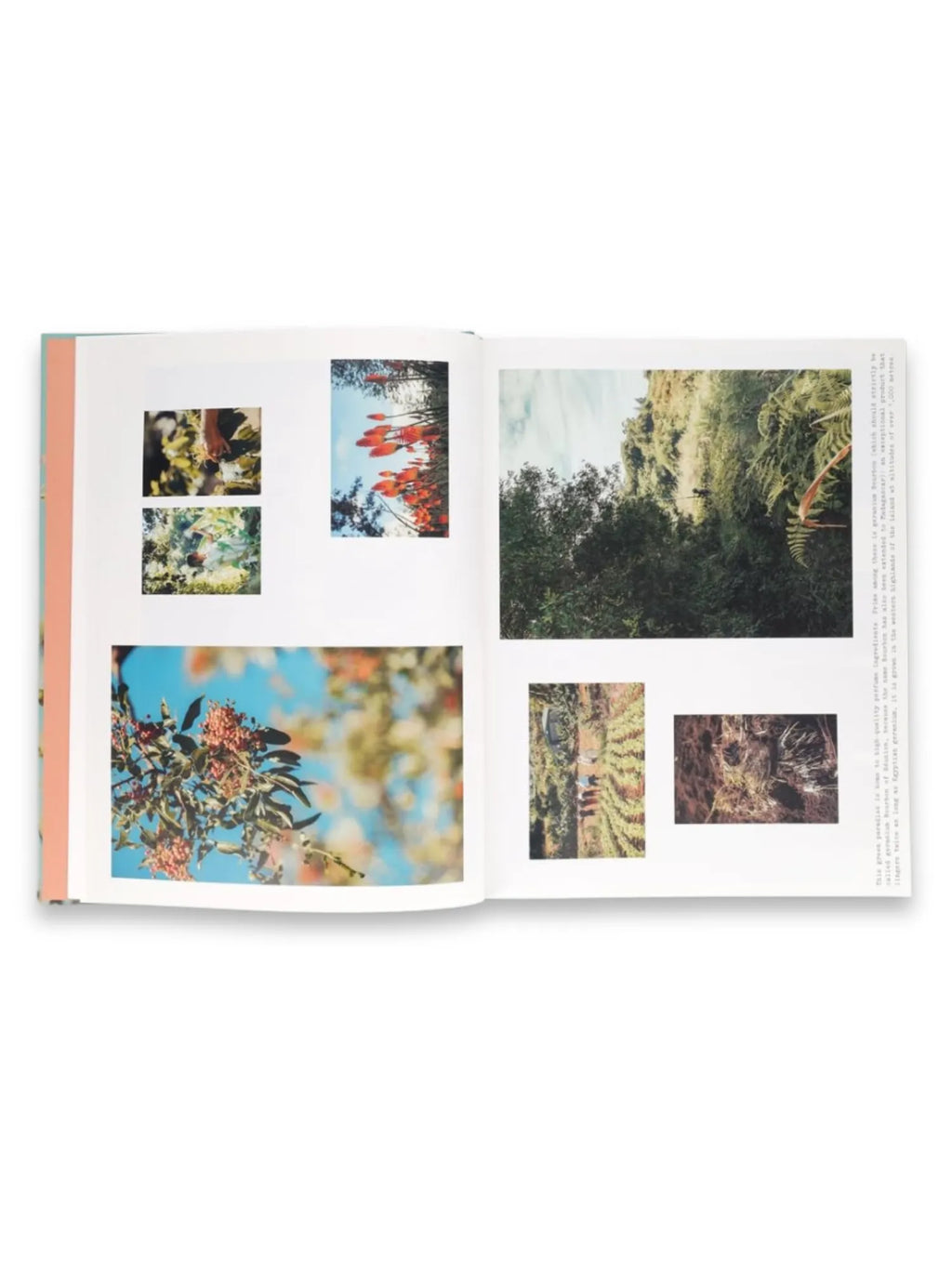 Book Louis Vuitton The Perfume Atlas, an open premium coffee table book displaying vibrant, colorful photographs of lush natural landscapes and flora. This visually rich publication is ideal for fragrance enthusiasts and luxury book collectors.