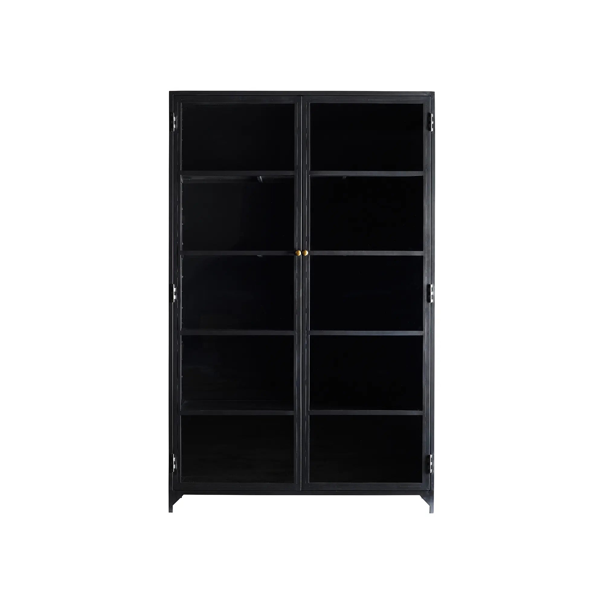 Metal 2-Door Cabinet with adjustable shelves and sleek black finish