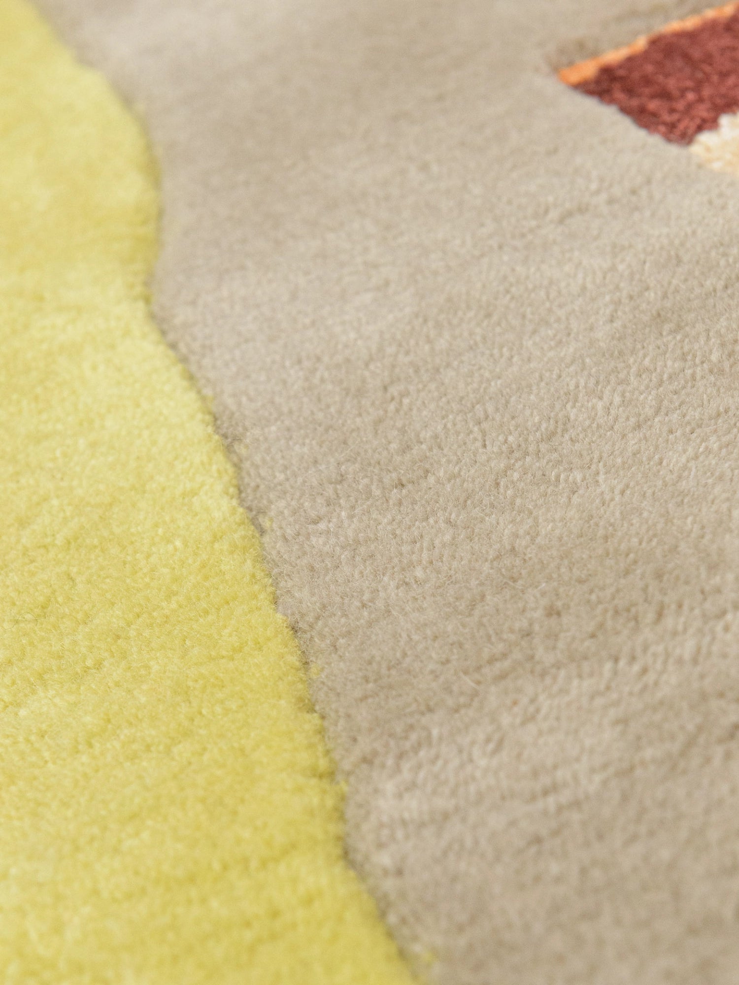 Moth Rug by Haus Üger - THAT COOL LIVING