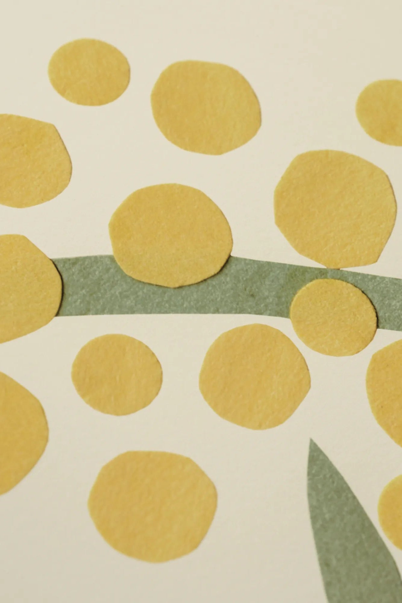 Acacia Wood Salad Bowl Set with Servers and Individual Bowls