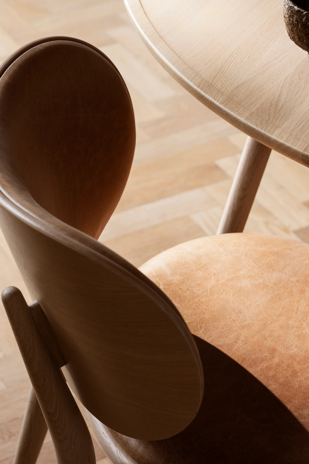 Close-up of Mater The Dining Chair, crafted from light matt lacquered oak with a warm tan leather seat. The chair's curved backrest and smooth wooden texture are highlighted, emphasizing its premium, ergonomic design in a sunlit room.