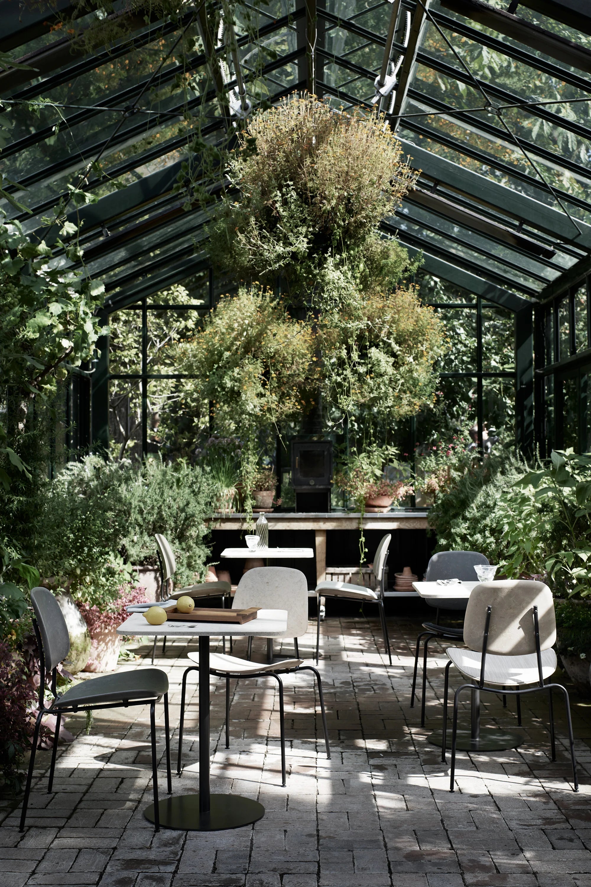 Compound Dining Chair