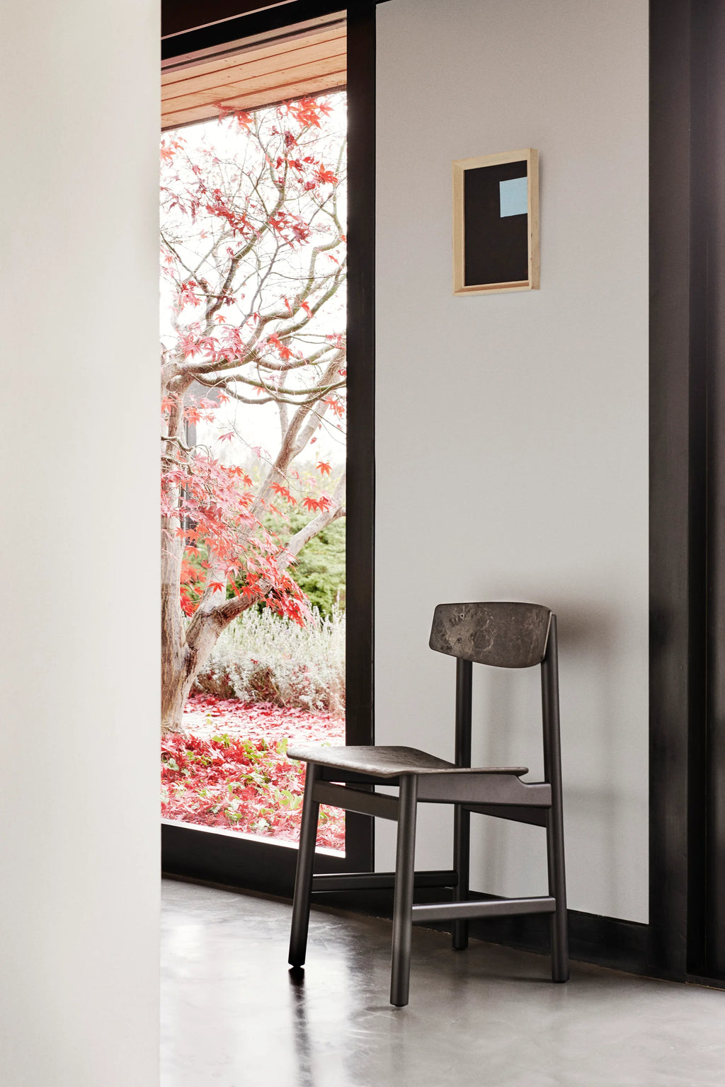Mater Conscious Chair in a dark, charcoal finish, positioned elegantly in a modern interior. The chair's sleek design complements the minimalist aesthetic, with a vibrant red-leafed tree visible through a large window.