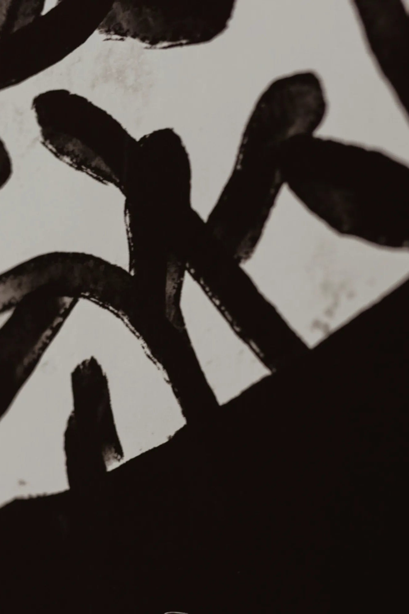 Exotic forest bird with bright red chest and intricate feather patterns