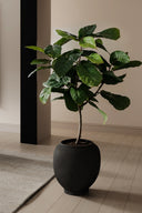 Sunao Planter - THAT COOL LIVING