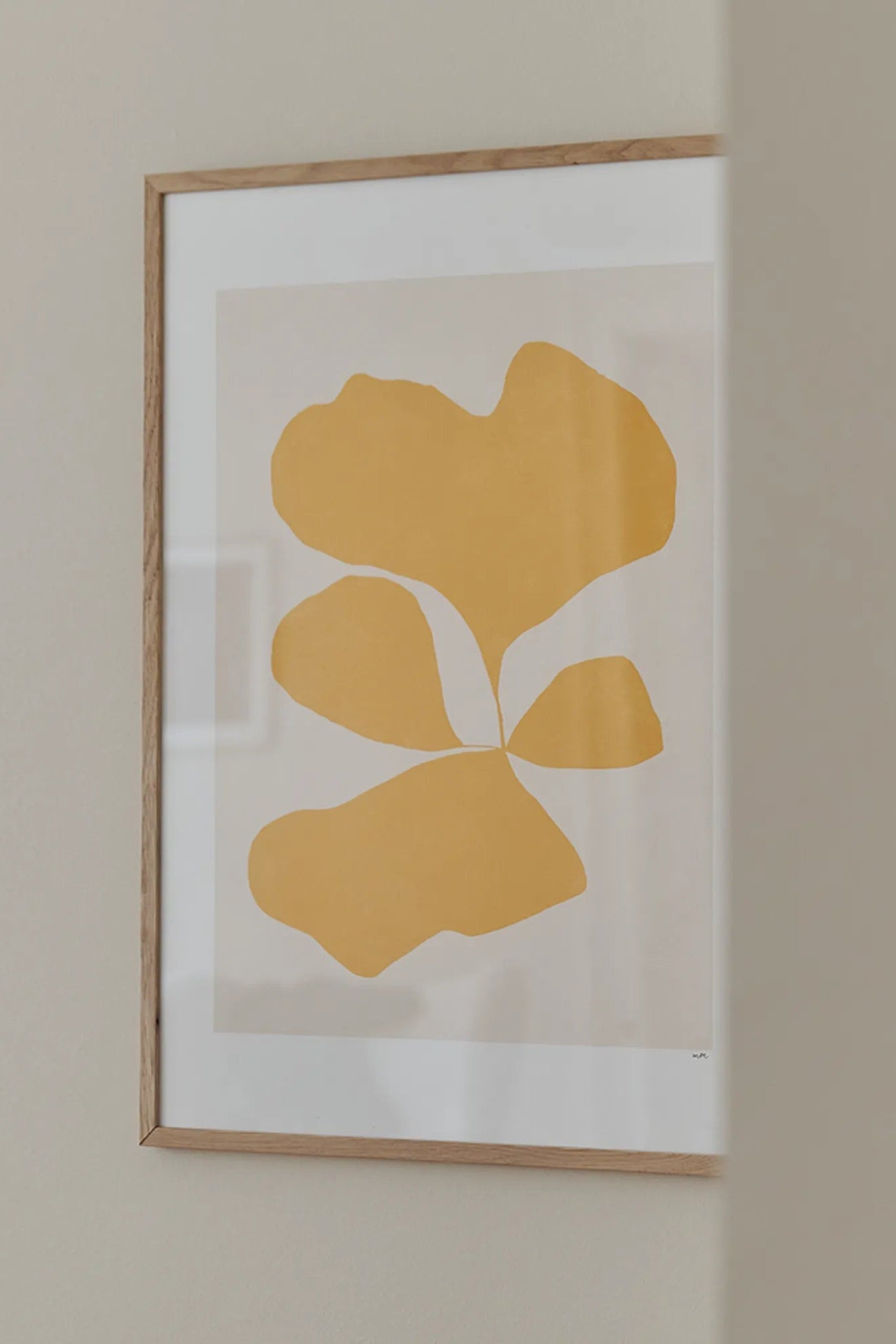 Close-up of Botanik III plant in a modern ceramic pot on a sunny windowsill