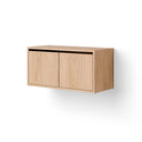 Modern wooden cabinet with low profile and two doors for stylish storage