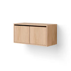 Modern wooden cabinet with low profile and two doors for stylish storage