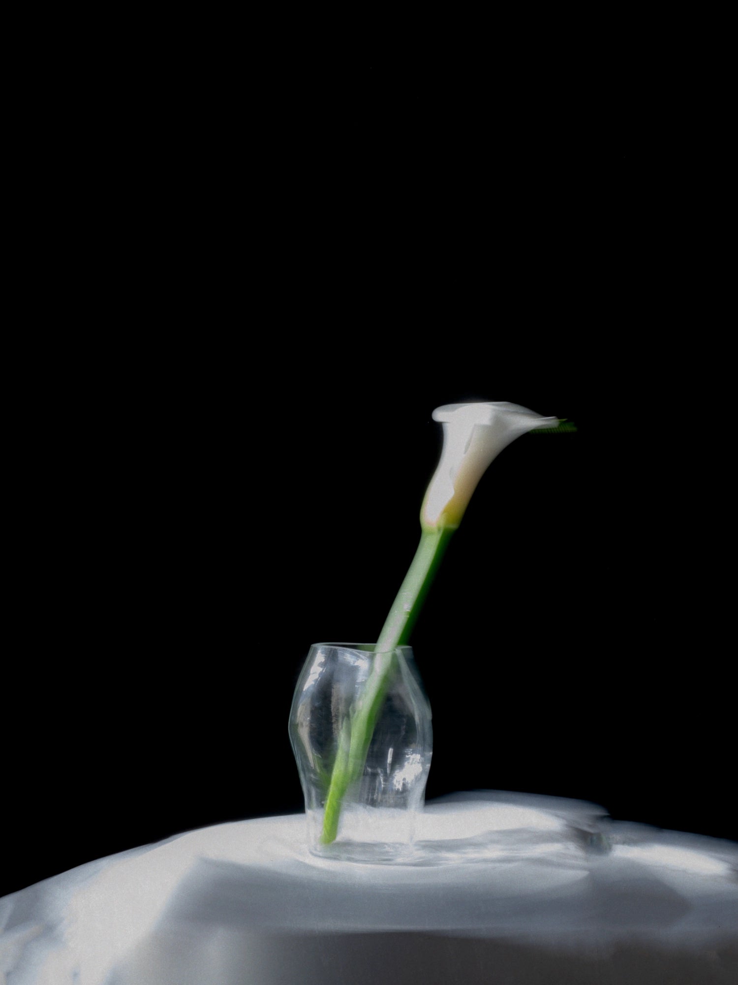 New Works A STUDY 001 / Blæhr Vase, a clear, premium glass vase with organic, fluid-like curves, holding a single white calla lily on a light surface against a black background. Ideal for minimalist decor.