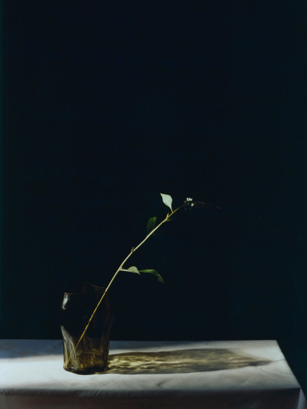 New Works A STUDY 001 / Blæhr Vase, a modern dark green glass vase with an organic, uneven shape, holding a single green botanical branch. Displayed on a white tablecloth with dramatic lighting, creating a luxury aesthetic. Perfect for minimalist home decor.