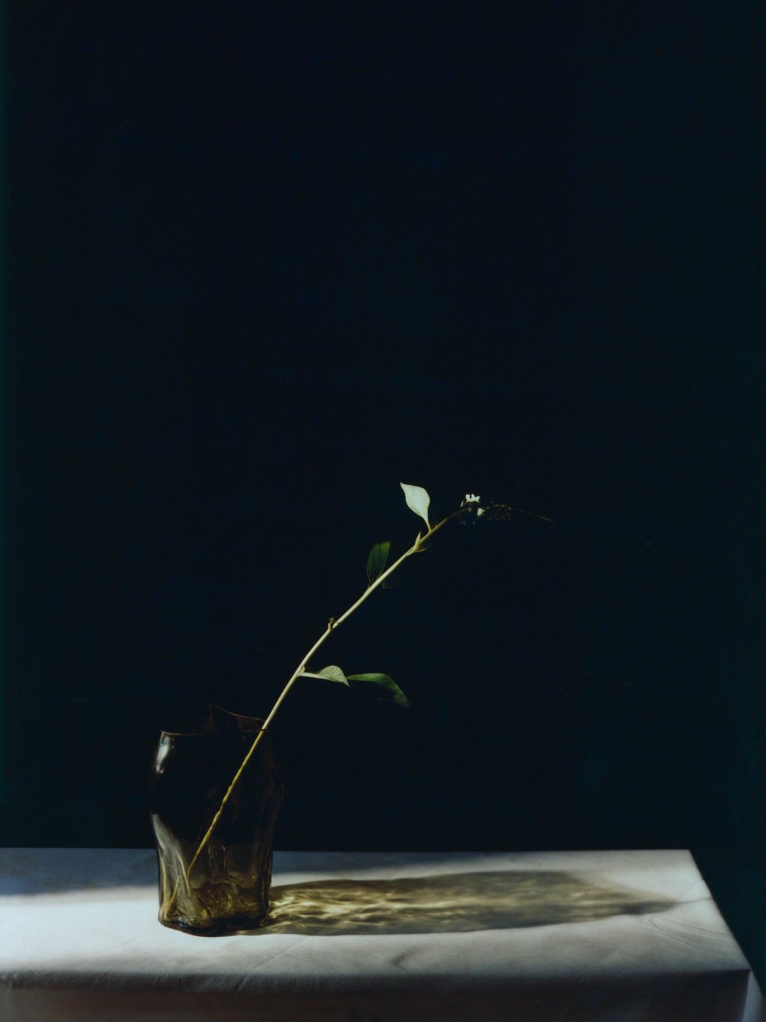 New Works A STUDY 001 / Blæhr Vase, a modern dark green glass vase with an organic, uneven shape, holding a single green botanical branch. Displayed on a white tablecloth with dramatic lighting, creating a luxury aesthetic. Perfect for minimalist home decor.