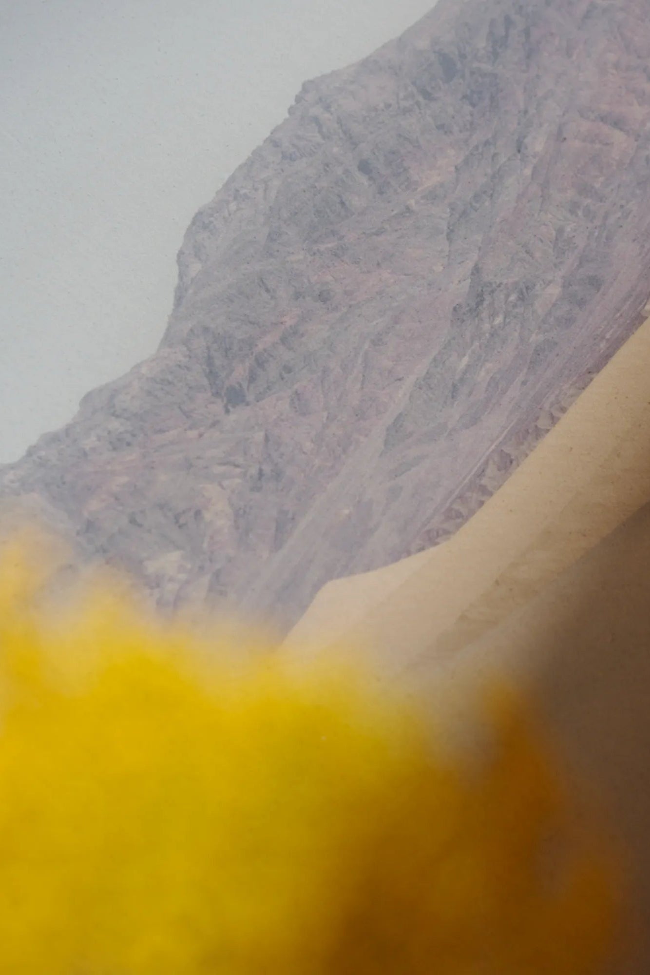 Model wearing Desert Mirage t-shirt in a desert setting, side view