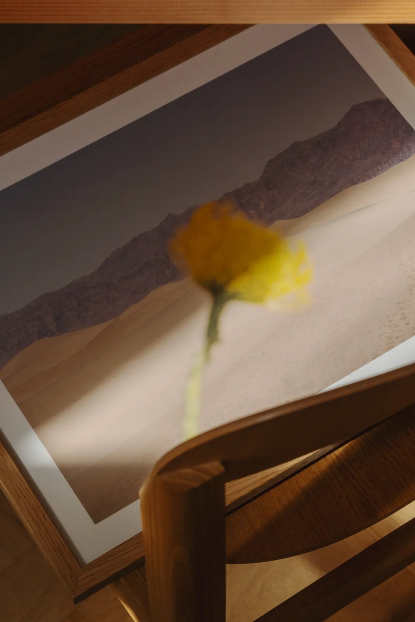 A close-up shot of the Desert Mirage product showcasing its intricate details