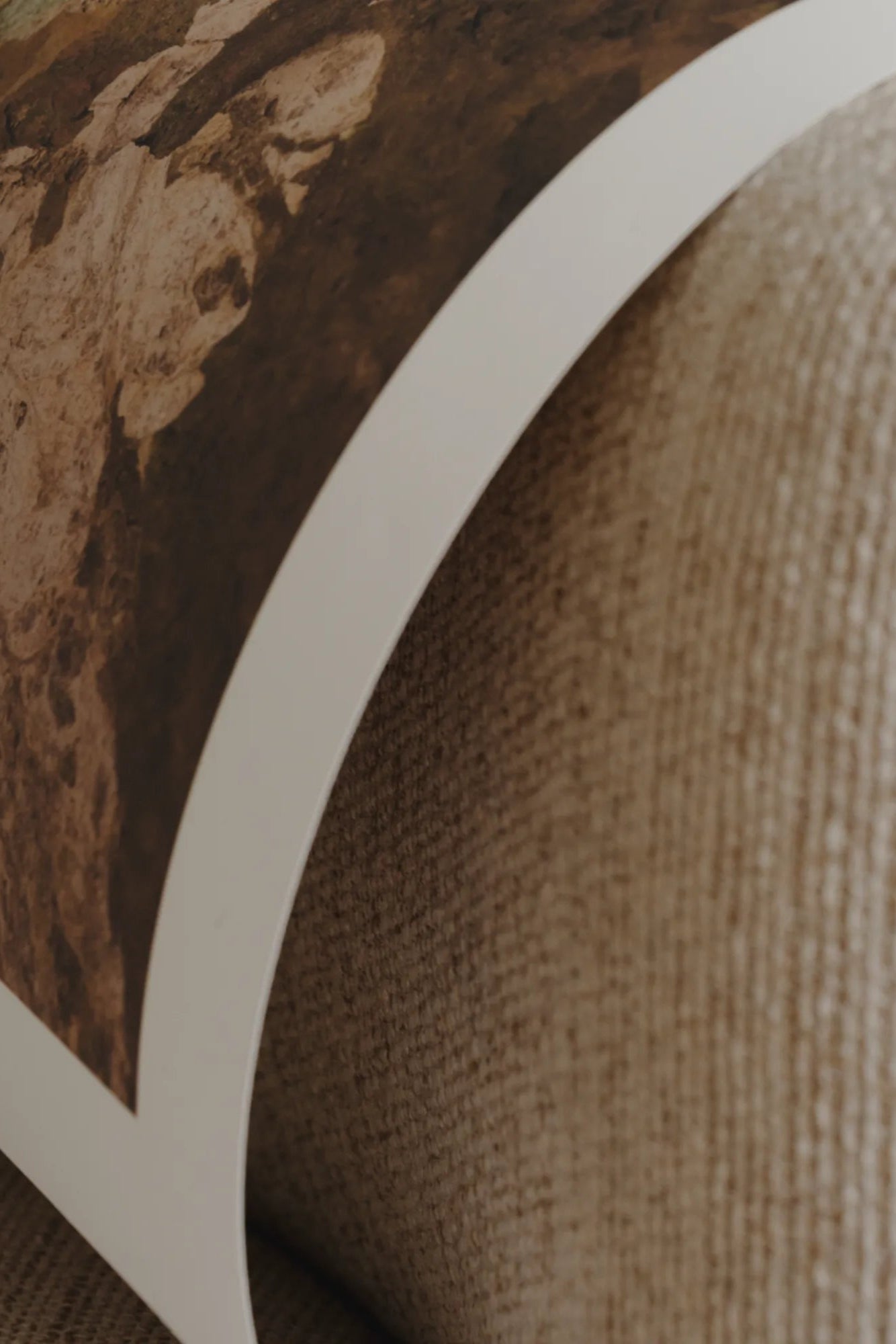 Earth’s Palette, a natural and organic makeup line, featuring a variety of shades inspired by the colors of the earth and sky