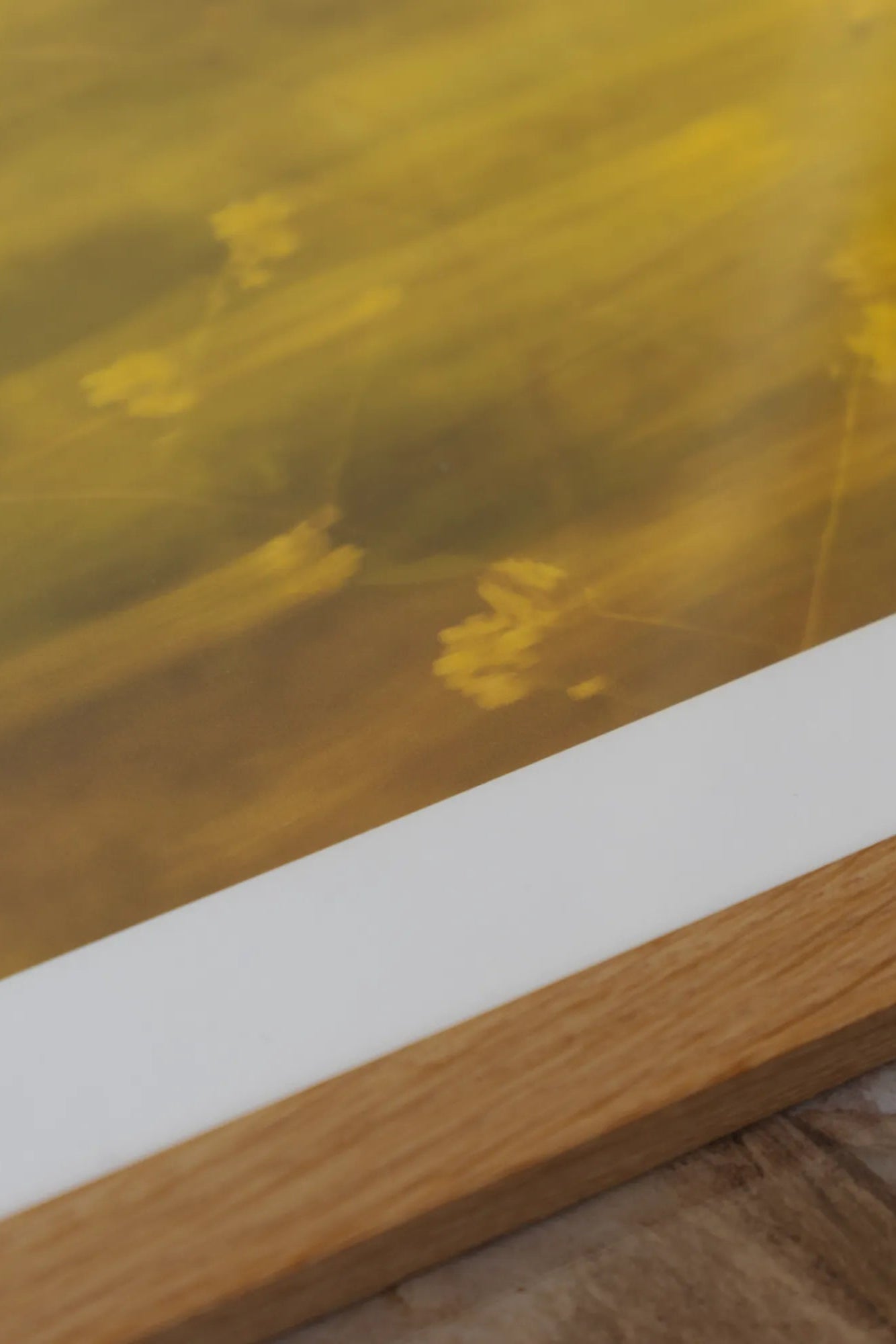 Golden luxury watch with Roman numerals and leather strap