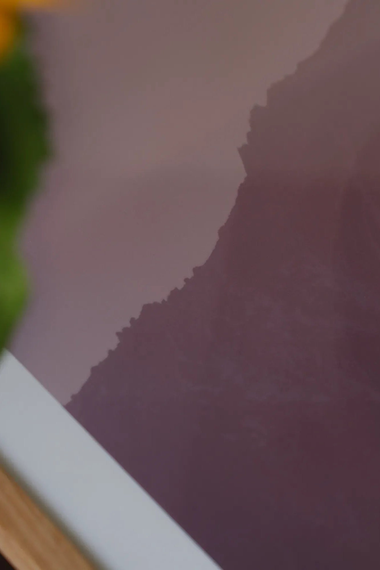 Woman holding bouquet of Mountain Lily flowers in a sunny field