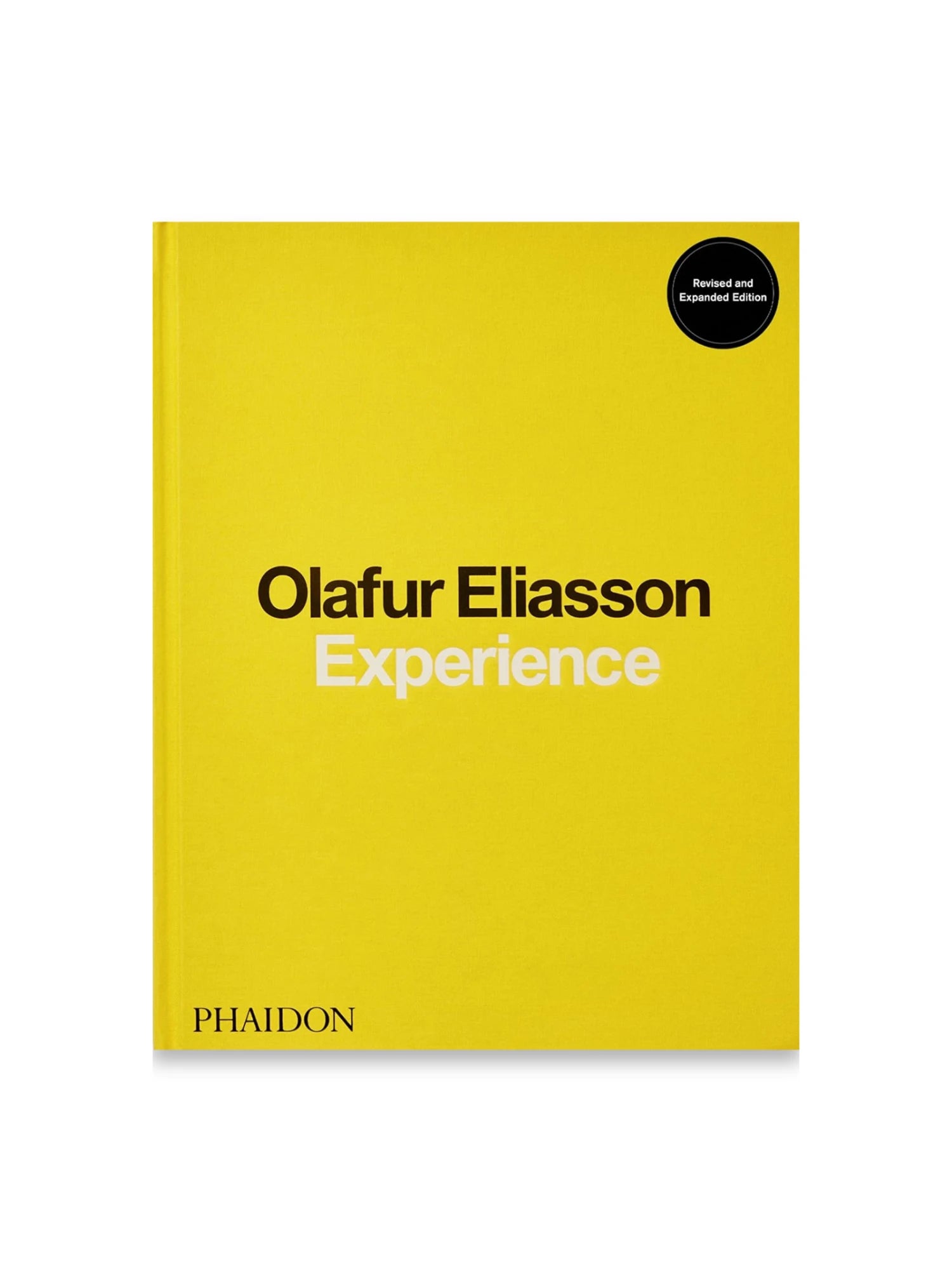Olafur Eliasson, Experience