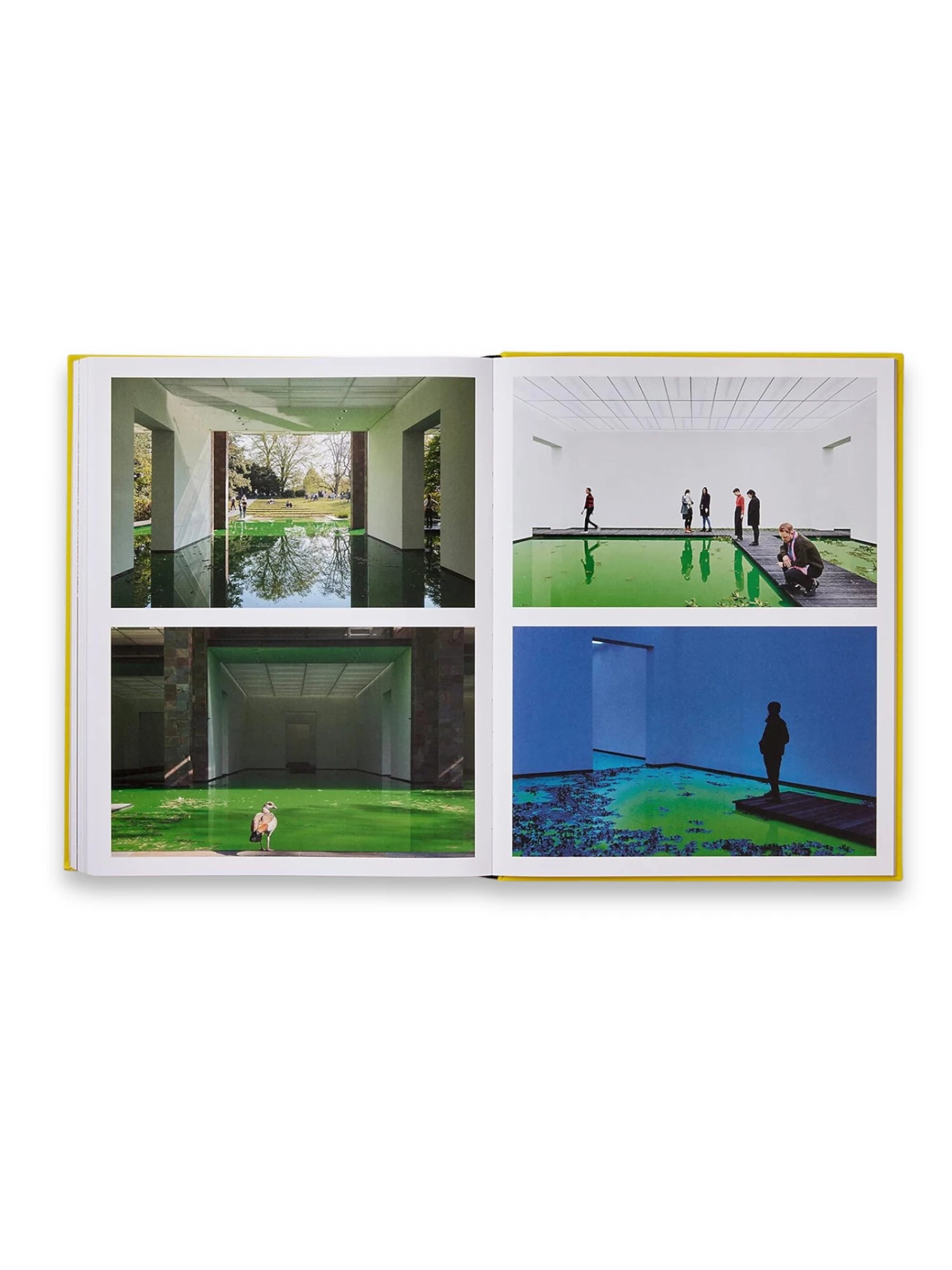 Olafur Eliasson, Experience by Book - THAT COOL LIVING