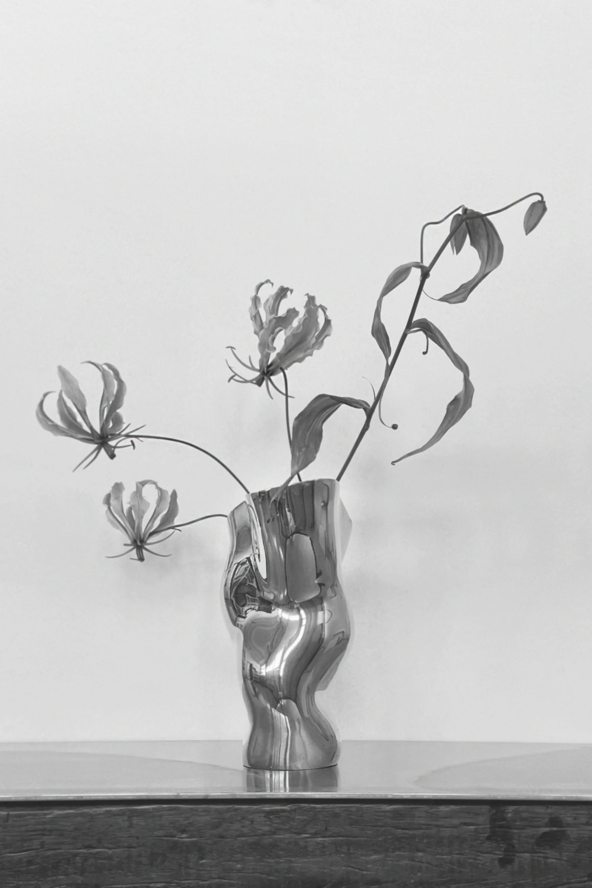 Ostrea 25 Vase