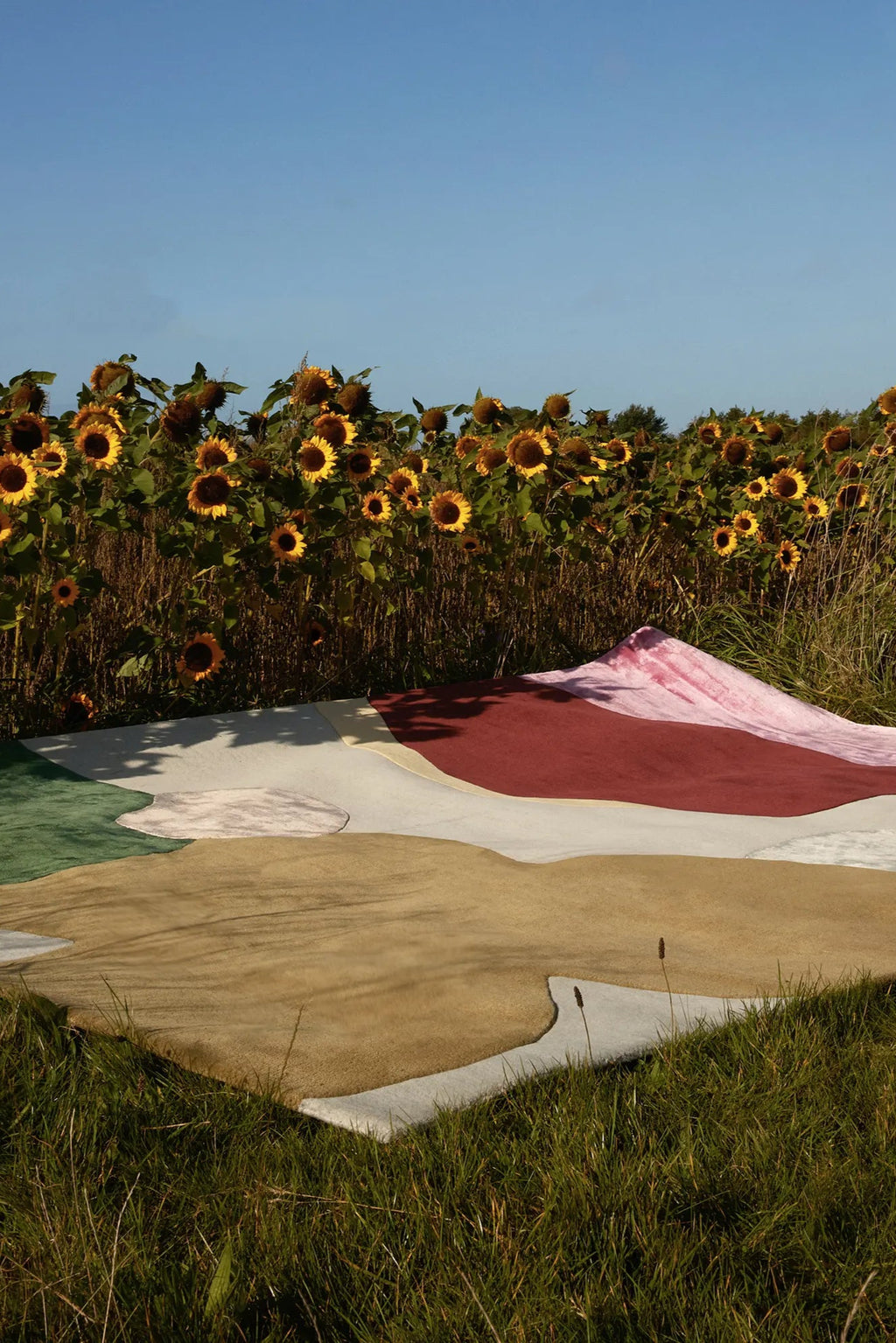 Layered Sleeping Flower Wool Rug, a unique abstract area rug with organic shapes in green, beige, red, and off-white, laid in a field of sunflowers. Perfect for adding a natural, artistic touch to...
