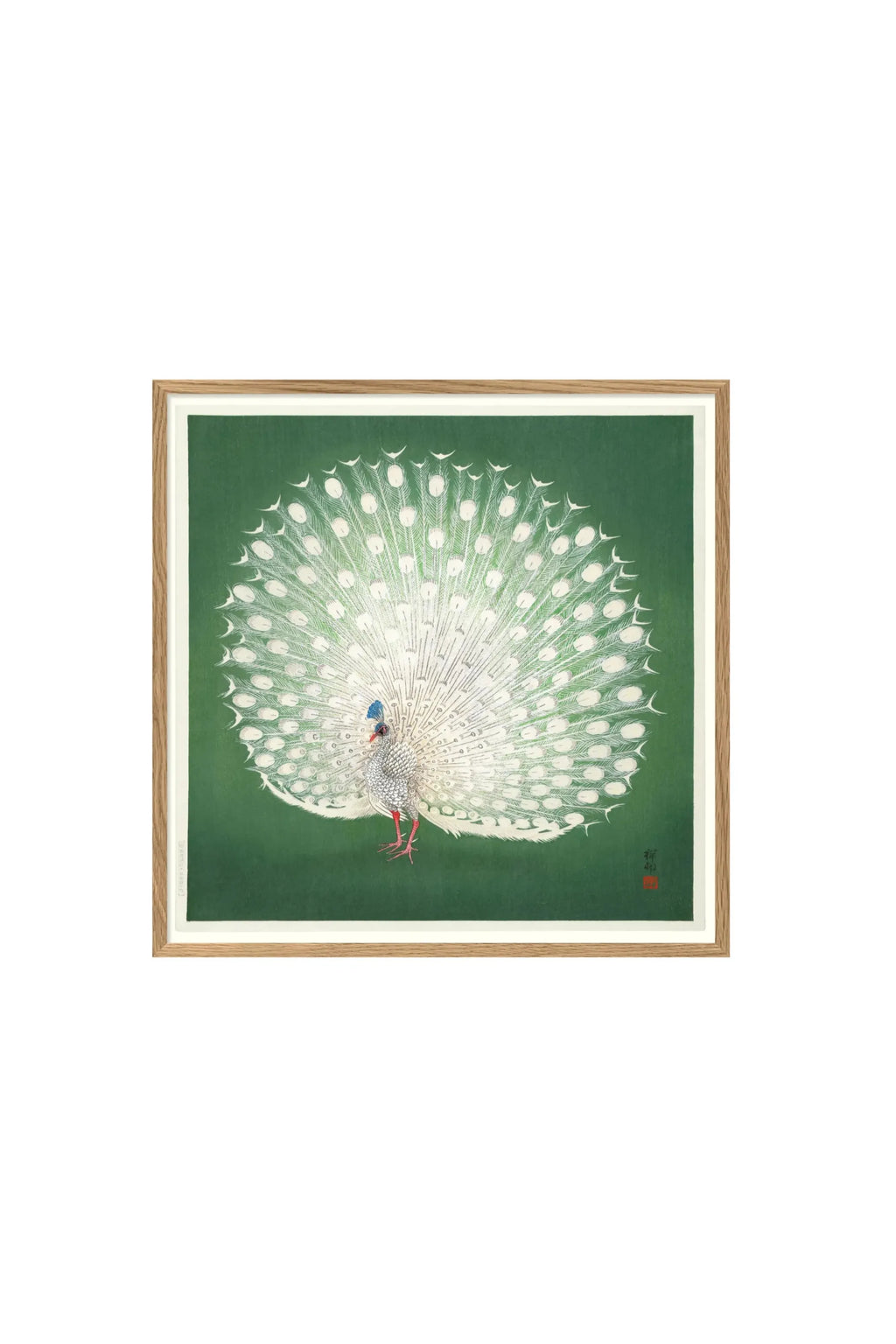 Peacock on Green - Art Print