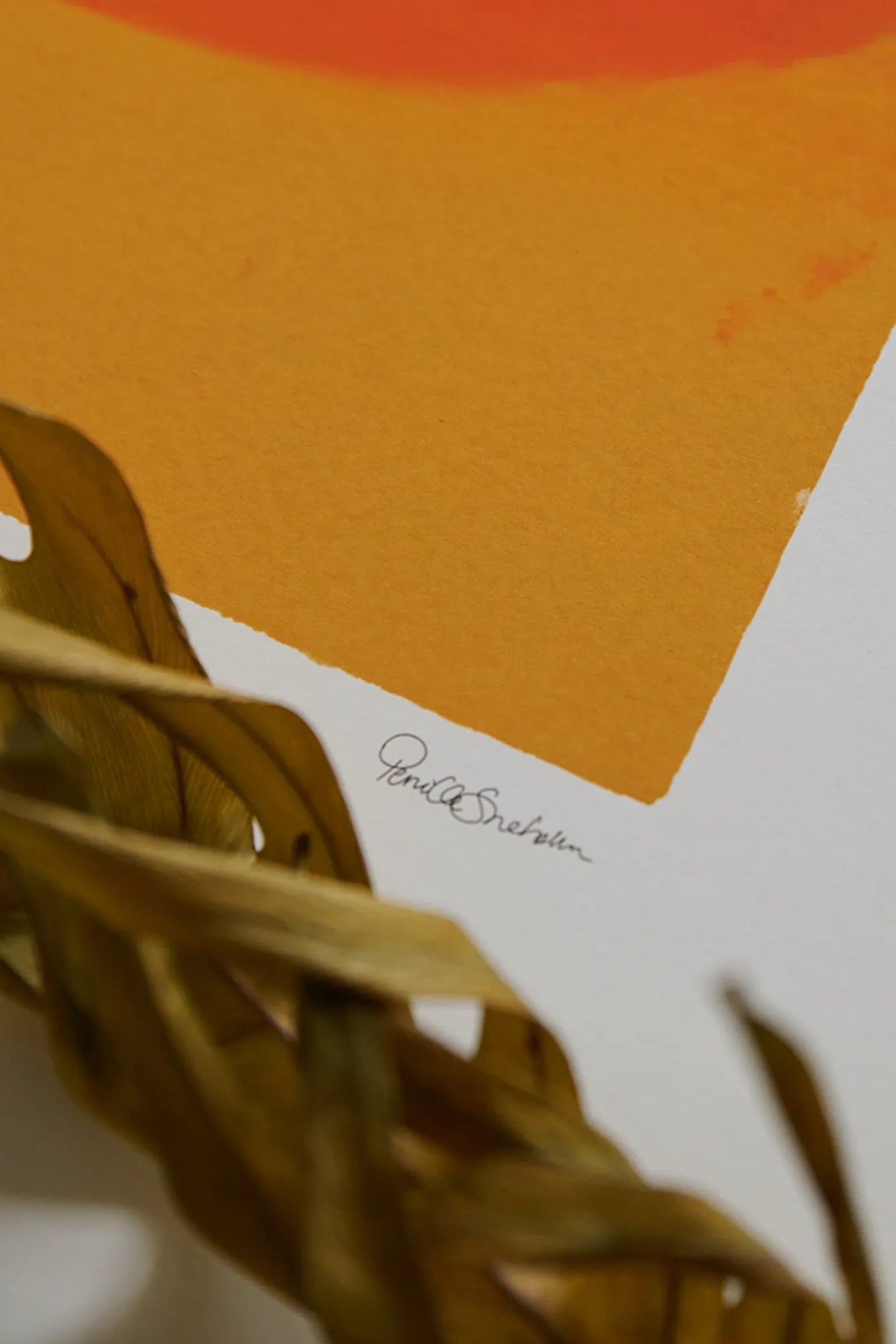 Sunset Wave: A beautiful ocean wave crashing on the shore during sunset