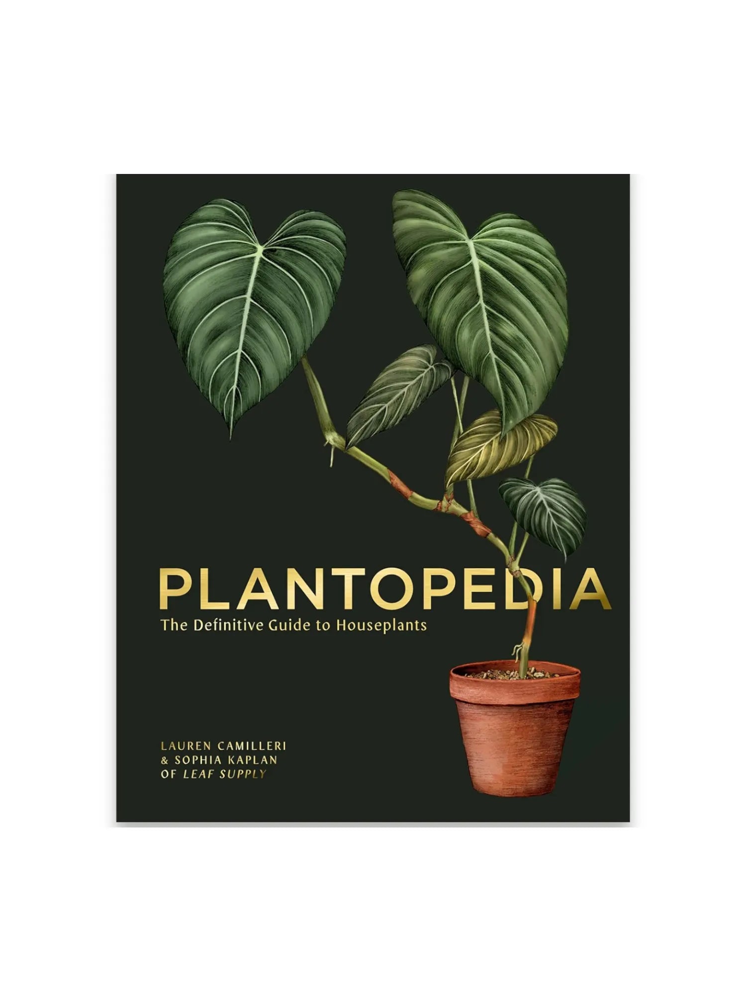 Plantopedia by Book - THAT COOL LIVING