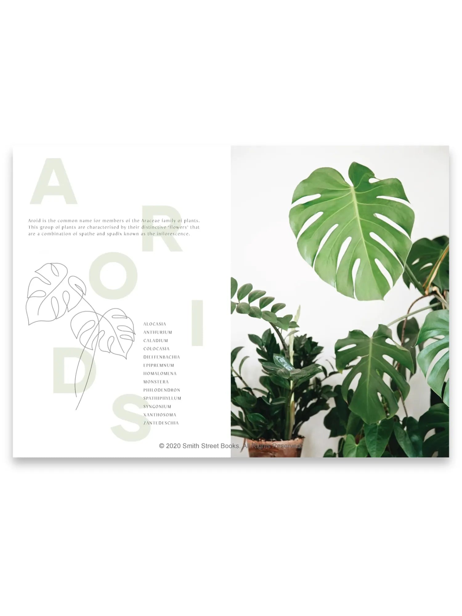 Plantopedia by Book - THAT COOL LIVING